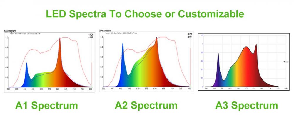 Light distribution plan 3