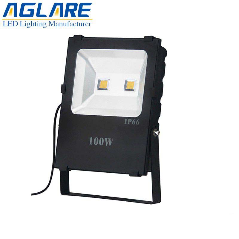  IP65 100w outdoor tree led flood light