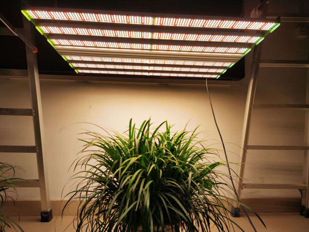 LED plant light filling lamp purchase skills